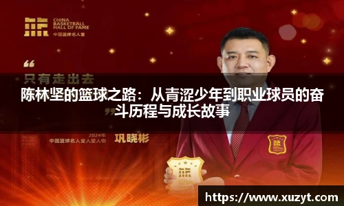bsports官网入口