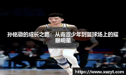 B体育bsports