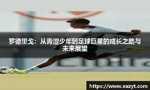 B体育官网